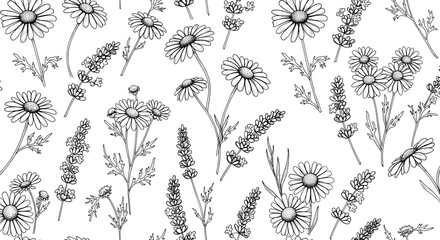 Floral pattern with daisies and lavender on white background  