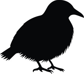 Vector illustration: Small bird silhouette, dark, minimalist style.