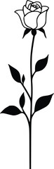 Elegant single rose vector illustration: minimalist floral design