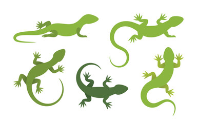 Five Green Lizard Silhouettes Isolated on White Background Diverse Poses and Tail Styles