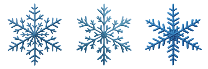 Blue snowflake set with unique frozen nature details and delicate icy branches creating cold winter feeling