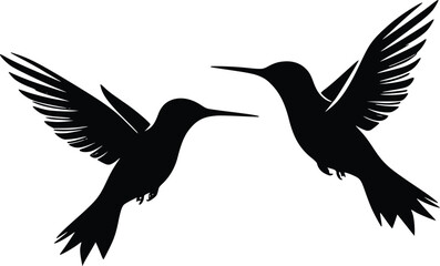 Fototapeta premium Elegant Hummingbird Pair: Vector Silhouette Illustration, Nature Design