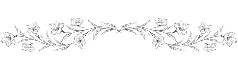 Sketch Floral Botany Collection. flower drawings. Black and white with line art on white backgrounds. Hand Drawn Botanical Illustrations. Vector eps