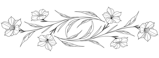 Sketch Floral Botany Collection. flower drawings. Black and white with line art on white backgrounds. Hand Drawn Botanical Illustrations. Vector eps