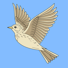Isolated vector figure of a skylark flying in the sky