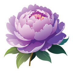 Beautiful Purple Peony Flower with Green Leaf