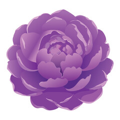 Vibrant Purple Peony Flower Textured Look