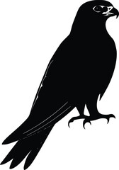 Majestic Peregrine Falcon: Vector Silhouette, Elegant, Dark Profile