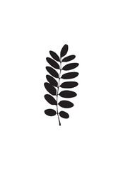 A simple, black silhouette of a single leafy branch against a white background.