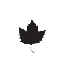 Simple black silhouette of a maple leaf against a white background.
