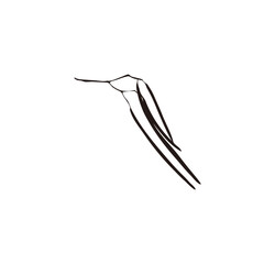 Simple black line drawing of a hummingbird in flight.