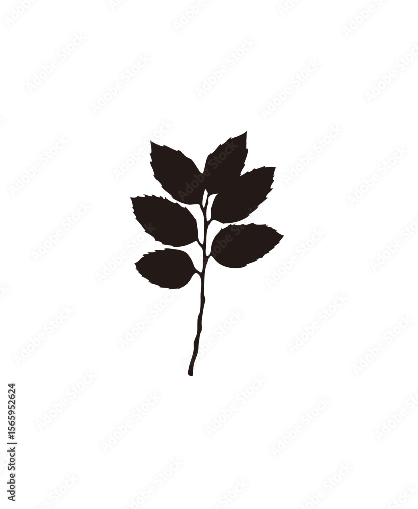 Poster silhouette of a leaf branch with multiple leaves, depicted in a dark color against a white backgroun