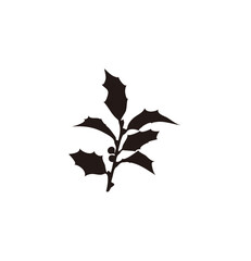 Silhouette of a holly branch with leaves and berries, isolated on white background.