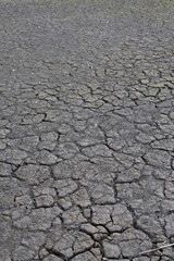 灰色の土の地面が乾燥で割れている様子