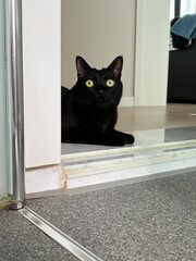 A black cat lying down with its front paws on the doorstep, glancing around curiously