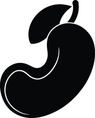 Cashew minimal clean design silhouette vector art illustration