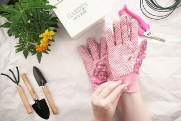 Gardening gloves, hands and flowers on white background – spring gardening concept. Flat lay of...