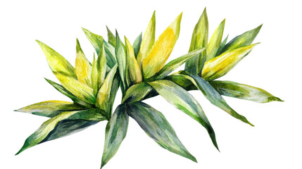 vibrant illustration of rip corn on cop on white background