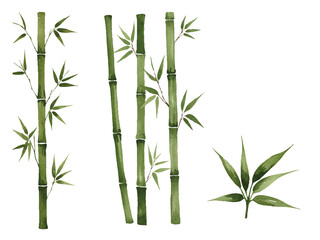 Vector watercolor bamboo / 水彩テイスト竹イラスト