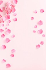 Obraz premium copy space for text background Pink Romantic Rose Petal Scatter concept