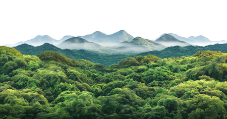 Layered mountain silhouettes with morning mist and rainforest isolated on transparent background