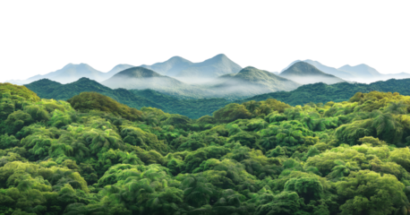 Layered mountain silhouettes with morning mist and rainforest isolated on transparent background