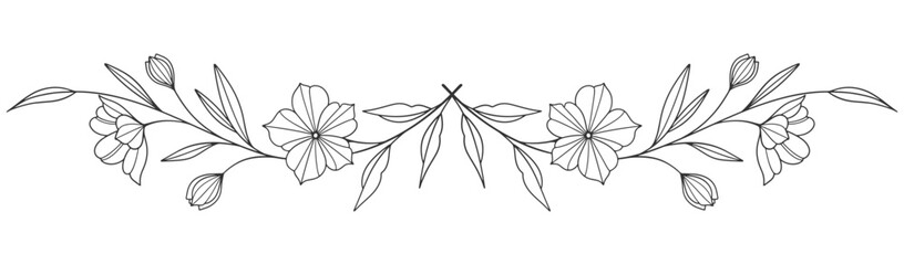 Sketch Floral Botany Collection. flower drawings. Black and white with line art on white backgrounds. Hand Drawn Botanical Illustrations. Vector eps