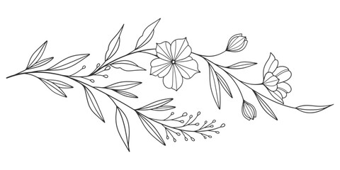 Sketch Floral Botany Collection. flower drawings. Black and white with line art on white backgrounds. Hand Drawn Botanical Illustrations. Vector eps