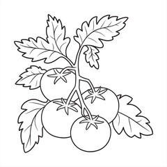 Fototapeta premium Spring Coloring Pages And Simple Springtime Fun