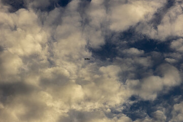 birds in beautiful sky