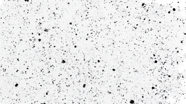 Drops of rain on the window with natural water patterns, condensation texture, and moody atmosphere isolated on white background