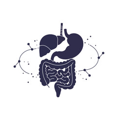 Stylized illustration of the human digestive system, showing liver, stomach, and intestines, with connecting lines suggesting a process.