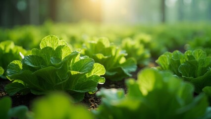 Ecological Landscape of Green Plant Art