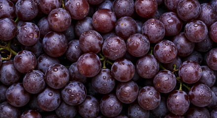 Fresh Ripe Grapes with Water Drops – Vibrant Close-Up of Vineyard Fruit