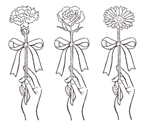 リボンがついた一輪の花を持つ手のイラスト
