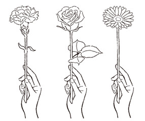 一輪の花を持つ手のイラスト