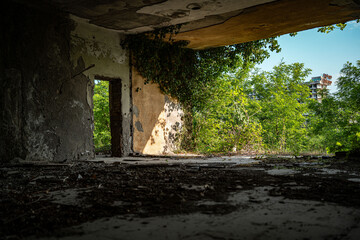 Ruins of a dilapidated art museum