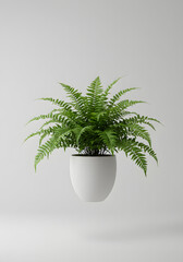 Lush Green Fern Houseplant in Modern White Pot on Minimalist Background