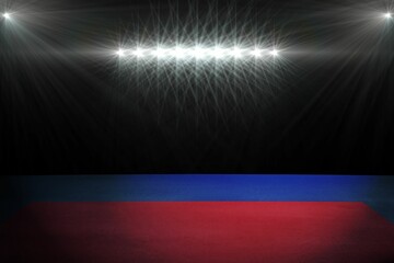 Composite image of playing field indoor