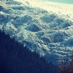 Fototapete Snow covered region during winter © vectorfusionart