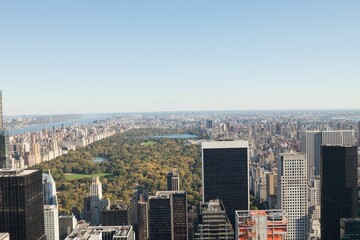 Panoramic aerial scene is showing Manhattan skyline in flat design, featuring Central Park canopy