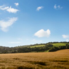 Obraz premium Idyllic view of agriculture field