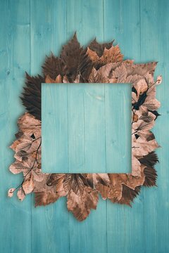 Fototapeta Flat square turquoise frame is resting on painted wood surface surrounded by brown leaves