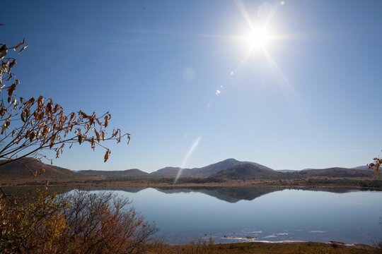 Fototapeta Calm lake is reflecting sunlit hills in flat design, autumn branch, bushes, transparent background