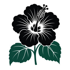 Fototapeta premium Black Hibiscus Flower with Teal Leaves Stylized Floral Illustration Botanical Design Element