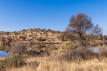Paysage de la Namibie