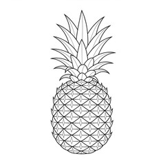 Obraz premium pineapple vector illustration coloring page