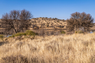 Paysage de la Namibie