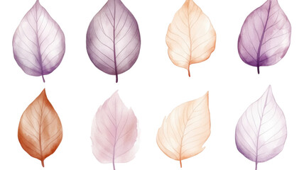 Obraz premium Set of colorful autumn leaves 3D render icons with vibrant fall foliage variety seasonal nature elements for decoration or design isolated on white background