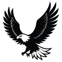 Obraz premium Powerful black eagle with outstretched wings and sharp talons descending